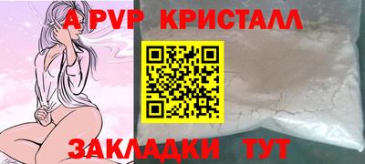 шишки Тара