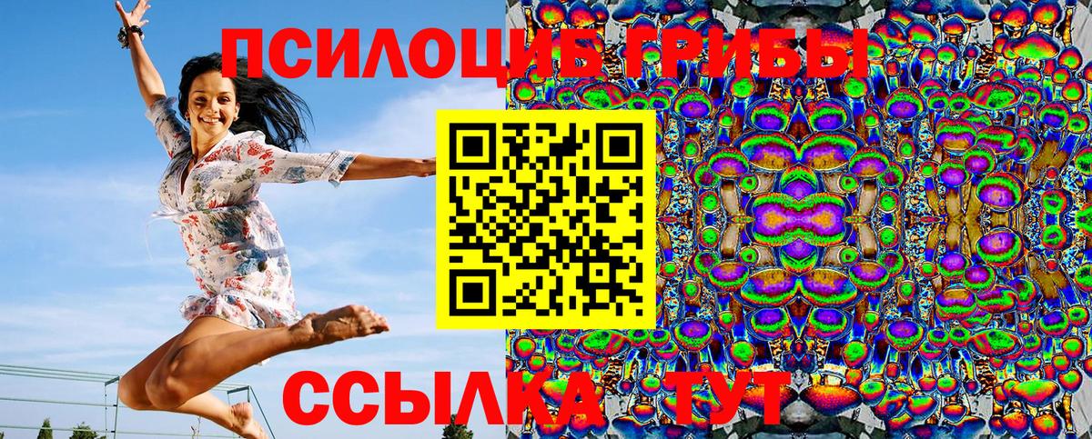 Псилоцибиновые грибы Psilocybine cubensis  Вход с VPN  Белово 